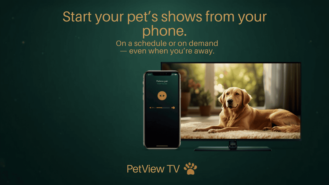A phone remote starting a show on a TV where a golden retriever is watching