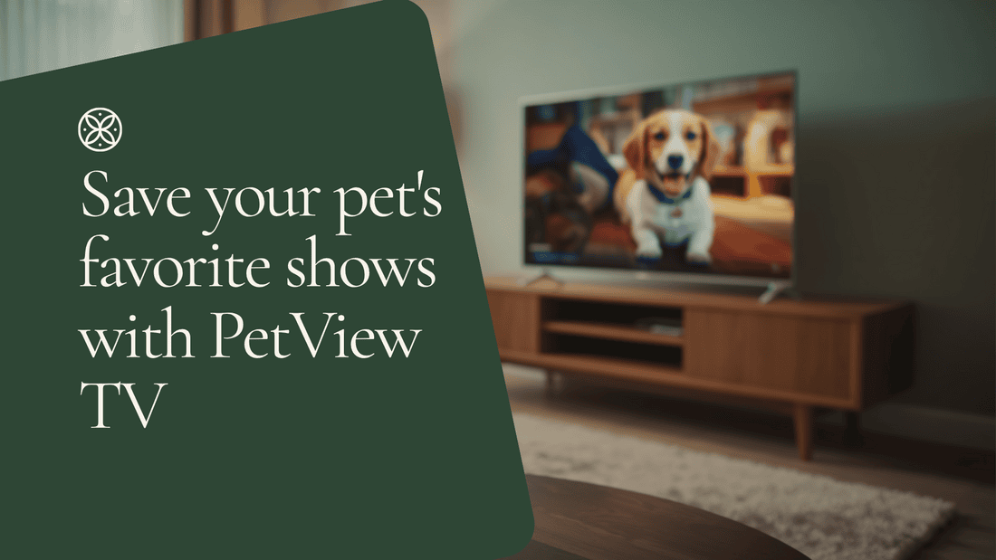 A living-room TV playing a dog's favorite show, saved with PetView TV
